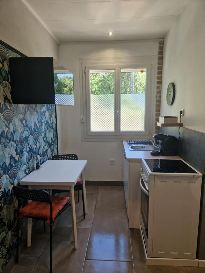 Appartement Independant Dans Maison Avec Jardinet, Au Calme Sérézin-du-Rhône Exteriér fotografie